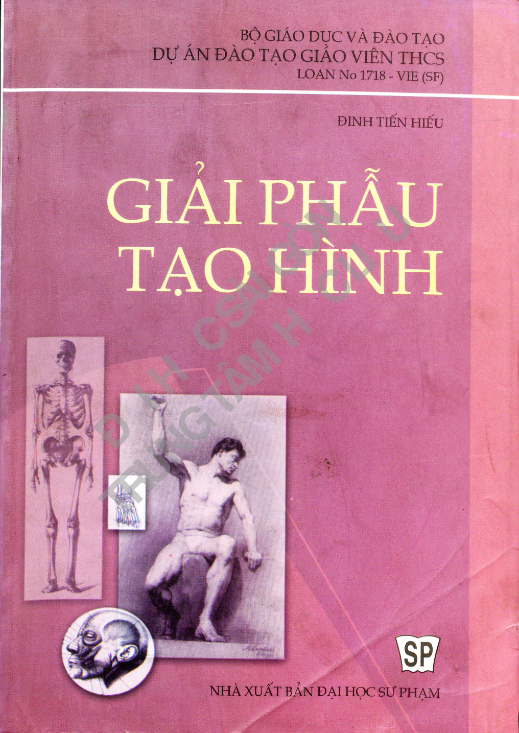 Giáo trình giải phẫu tạo hình  