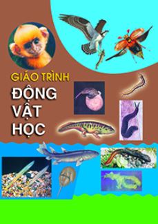 Giáo trình động vật học  